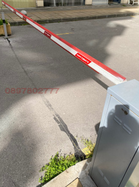 ����� ���� ��� ���� ����������,���� �����, ����������� ������