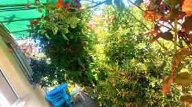    2- | Imot.bg    5