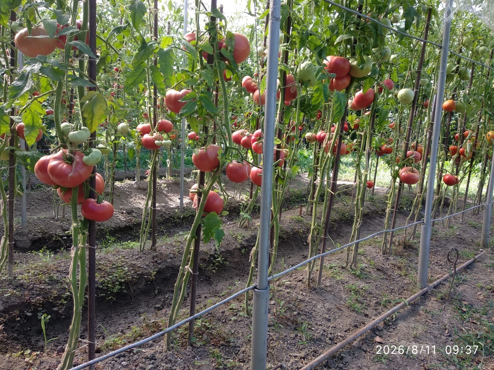 ���� ��� ���� ���� | Imot.bg � ����������� 17