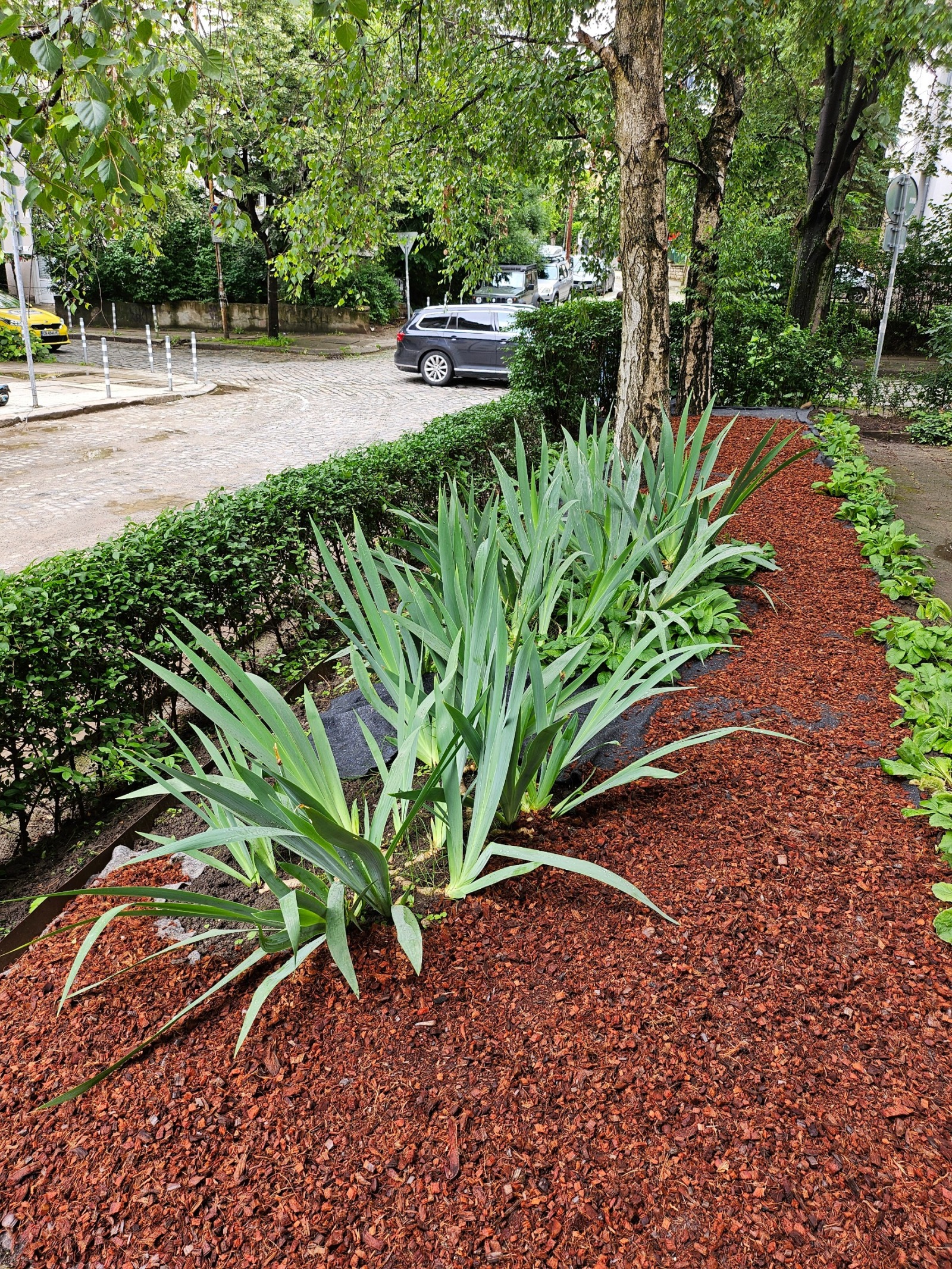 ���� ��� ���� ���� | Imot.bg � ����������� 12