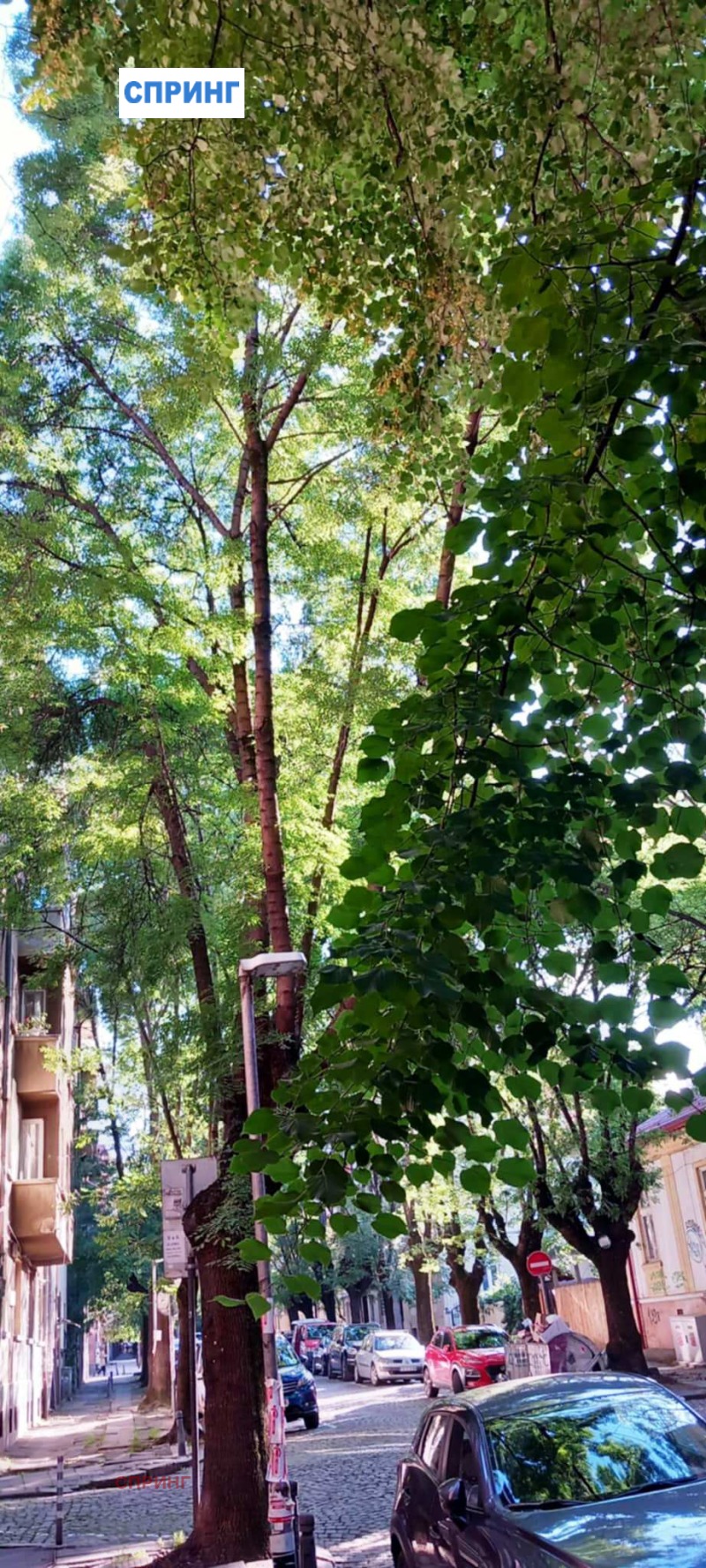 Προς ενοικίαση  1 υπνοδωμάτιο Σοφηια , Μεδητσηνσκα ακαδεμηια , 72 τ.μ | 53638556 - εικόνα [13]