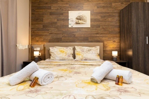 Дава под наем 2-СТАЕН, гр. Пловдив, Център, снимка 7 - Апартаменти - 52803821