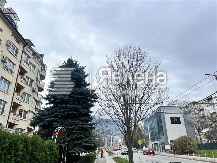 Дава под наем МАГАЗИН, гр. София, Бъкстон, снимка 5 - Магазини - 52726897