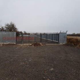 ����� ���� ��� ���� �����,���� �����, �������