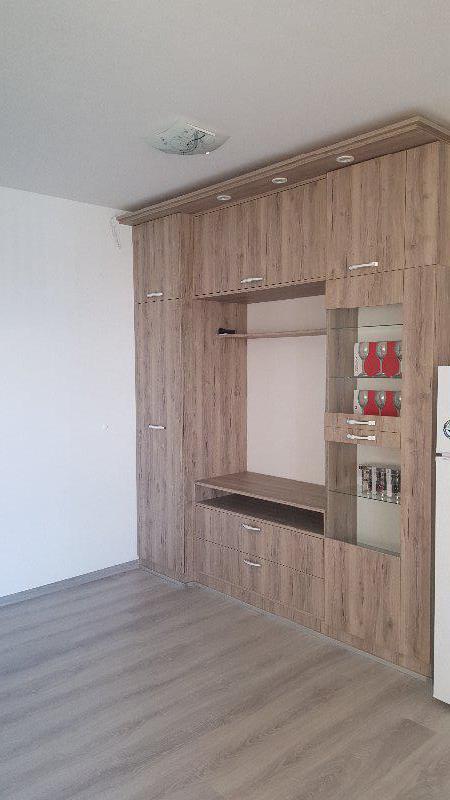 En renta  1 dormitorio Sofia , Borovo , 50 metros cuadrados | 97810186 - imagen [4]