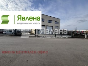 ������ ���� ��� ���� �����