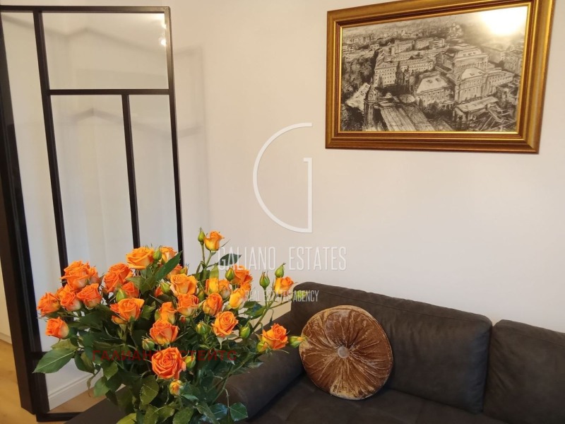 Дава под наем 1-СТАЕН, гр. София, Център, снимка 3 - Апартаменти - 53148151