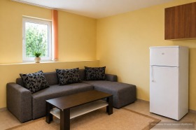 ����� ���� ��� ���� 3-�����,���� �������, ����� �����