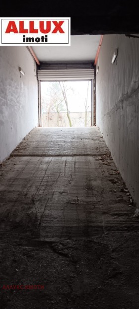 ����� ���� ��� ���� ����������,���� ����, ����