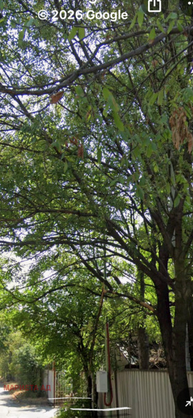 ����� ���� ��� ���� �����,���� �����, ������ ����