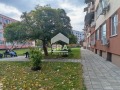 Под наем СТАЯ, област Бургас, к.к. Слънчев бряг • 200 € • 51352434 10