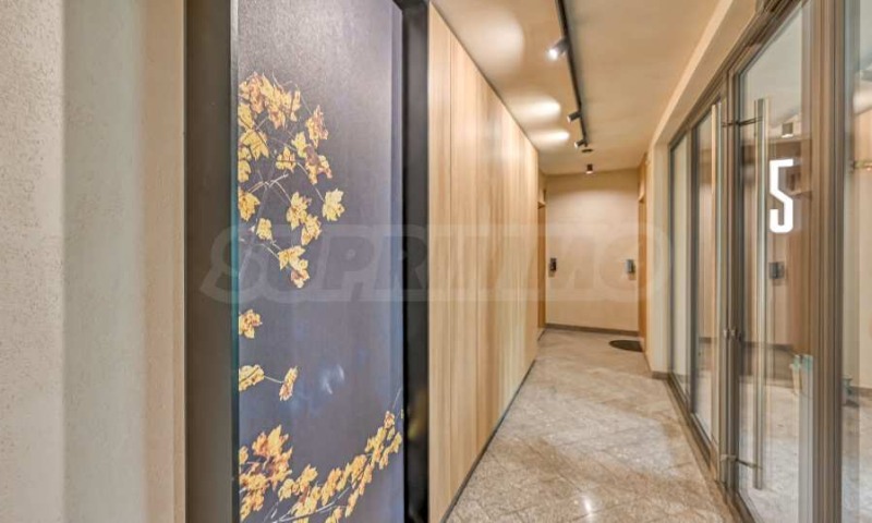 Издаје се  1 спаваћа соба Софија , Павлово , 65 м2 | 68650038 - слика [13]