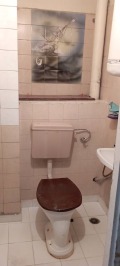 Под наем МНОГОСТАЕН, град Пловдив, Център • 1000 лв. / 511.29 € • 45845607 7