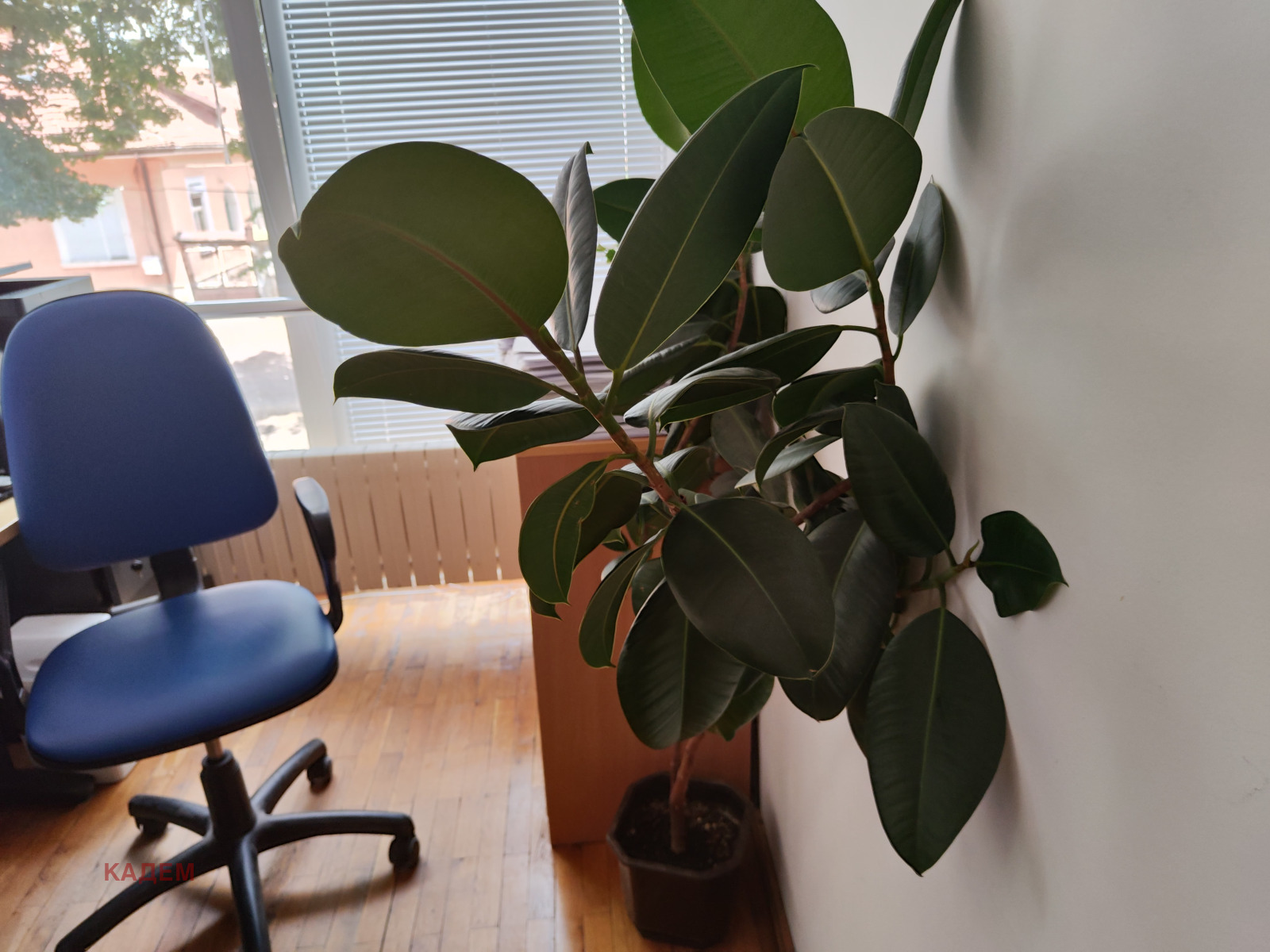 ���� ��� ���� ���� | Imot.bg � ����������� 12