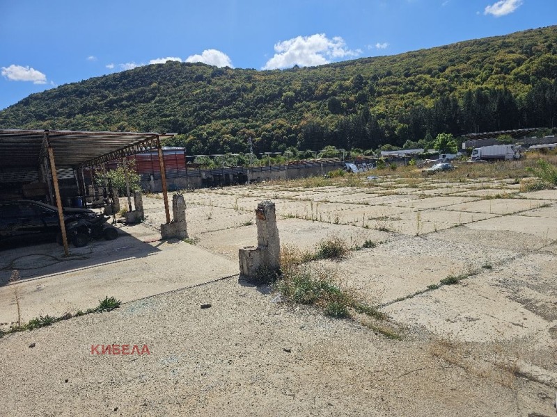 Kiadó  Cselekmény Pernik , Kristal , 6000 négyzetméter | 92143640