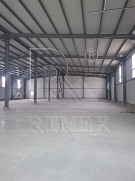 ����� ���� ��� ���� ����. ���������,���� �������, ������������ ���� - �����