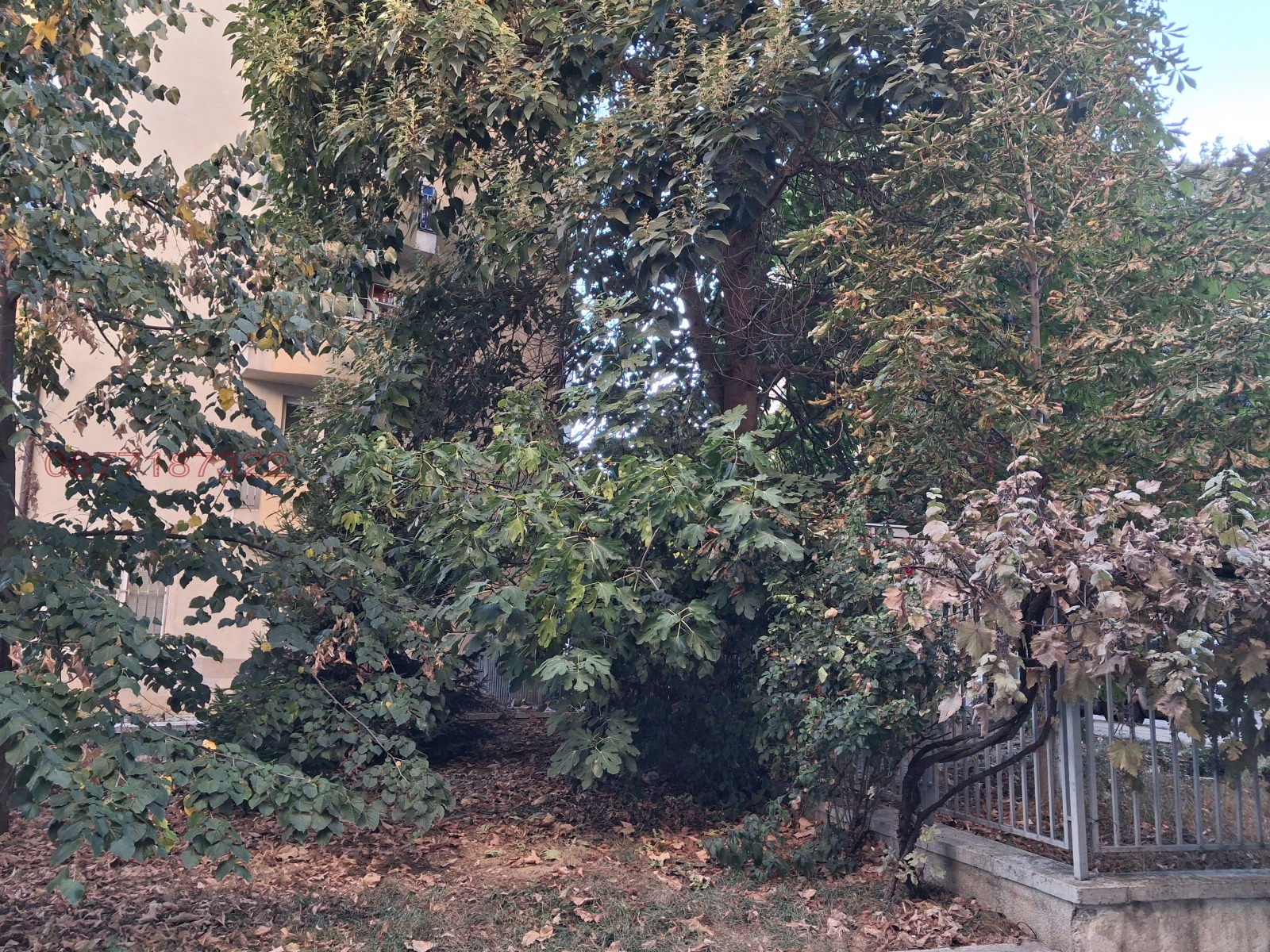 ���� ��� ���� ������, ����� | Imot.bg � ����������� 9