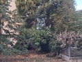 Дава под наем  Ателие, таван град София , Красно село , 43 кв.м | 90285428 - изображение [9]