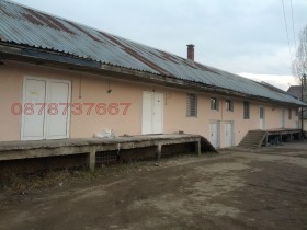 ����� ���� ��� ���� �����,���� �������, ���������� ����