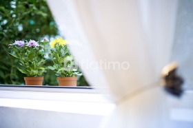 ���� ��� ���� 1-����� | Imot.bg � ����� ������ 8