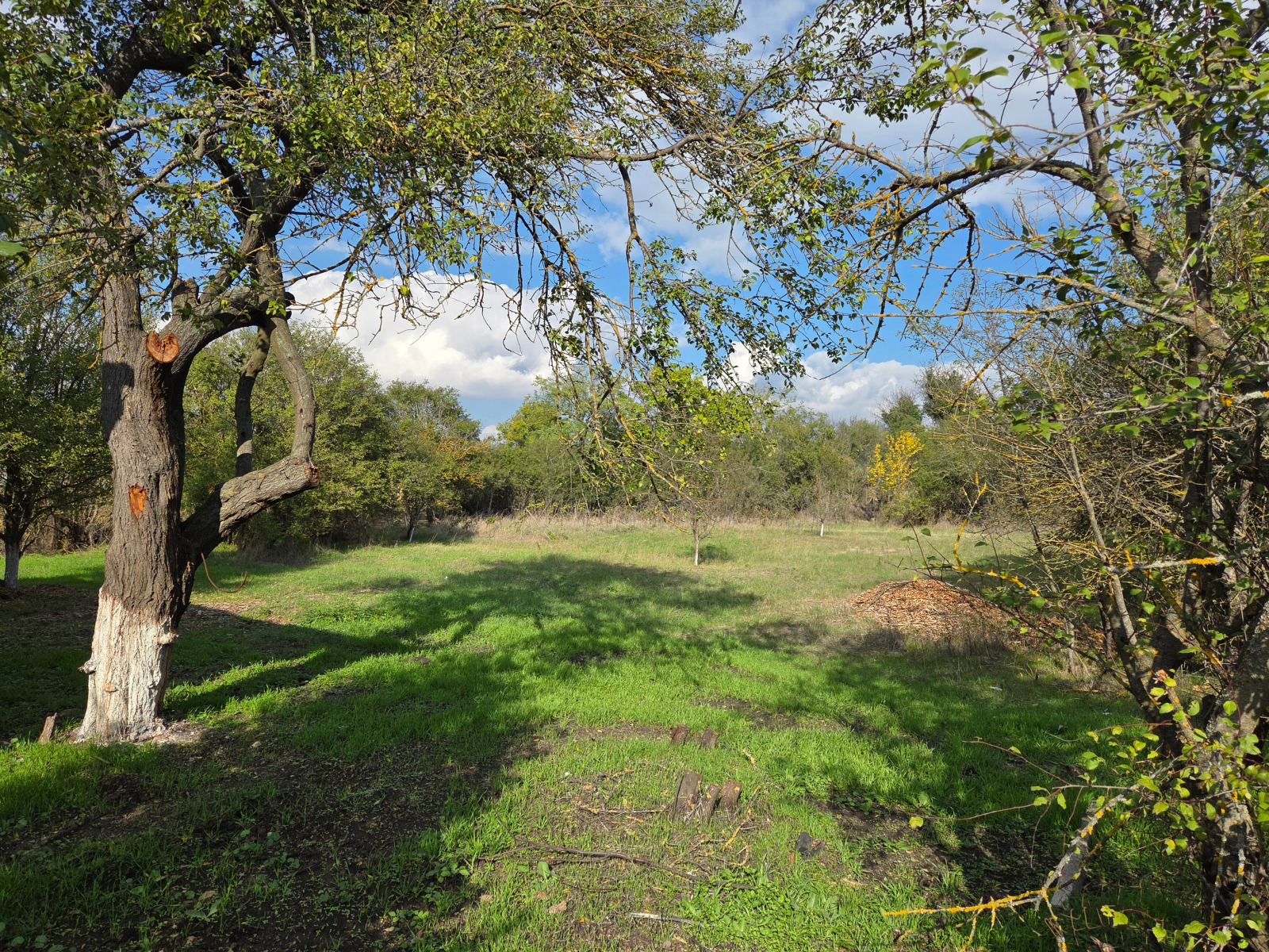 ���� ������������ ���� | Imot.bg � ����������� 11