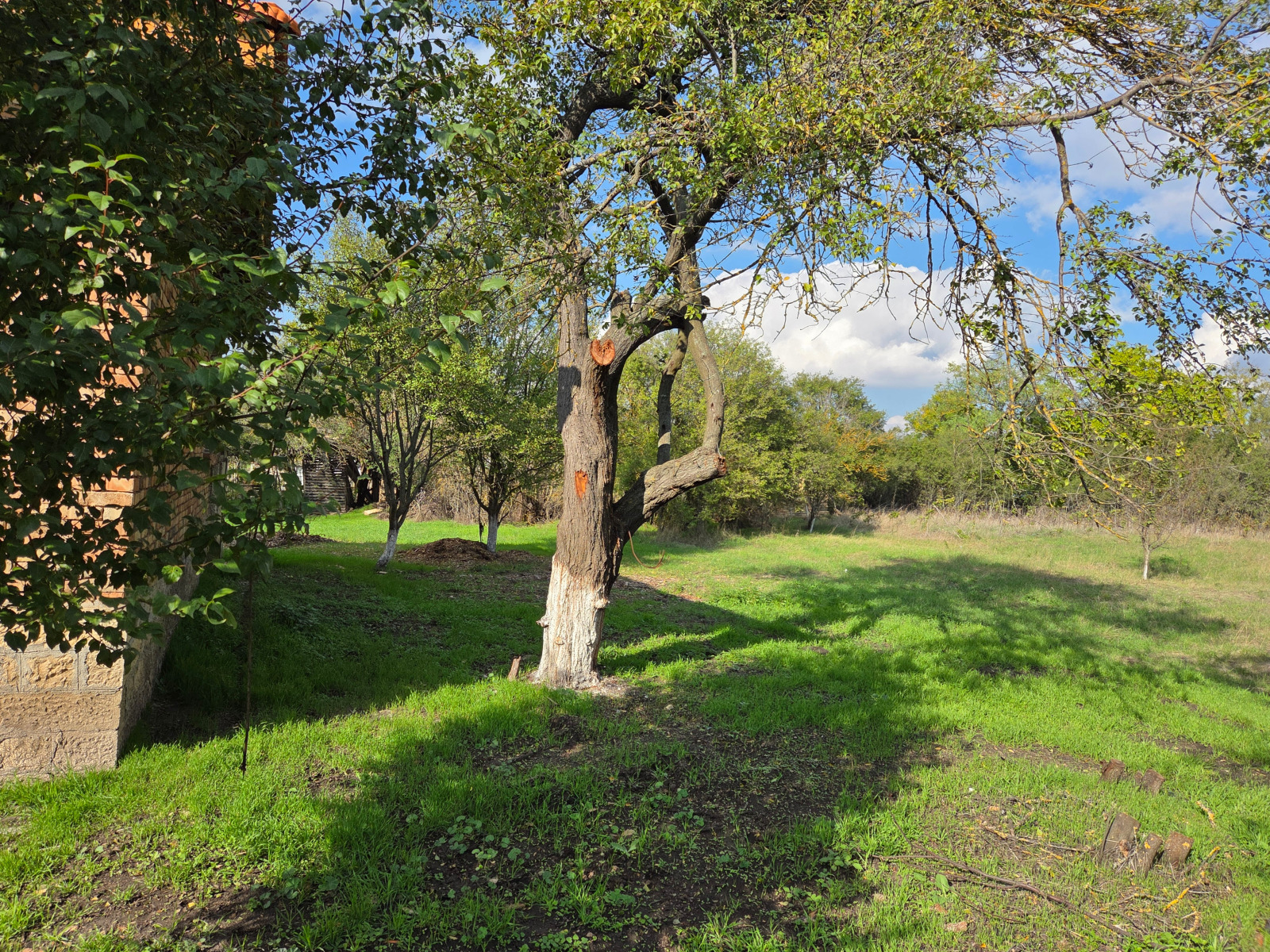 ���� ������������ ���� | Imot.bg � ����������� 10