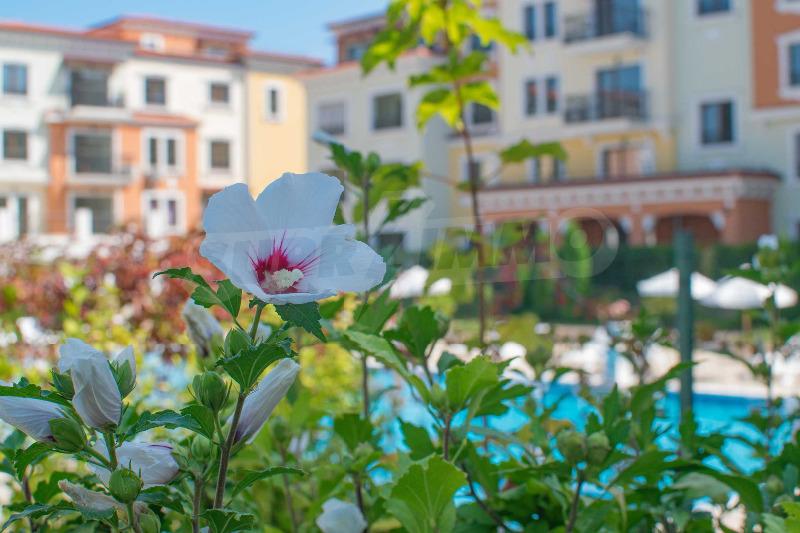 ���� ������������ ������� �������� | Imot.bg � ����������� 14