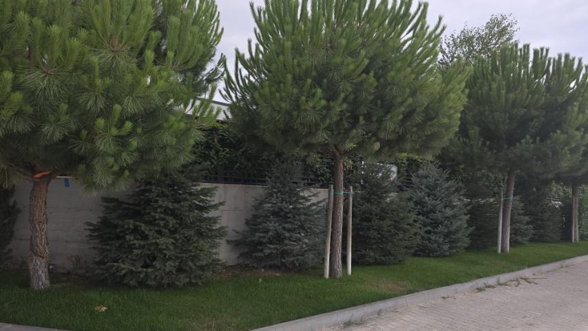 ���� ������������ ���� | Imot.bg � ����������� 15