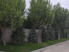 ���� ������������ ���� | Imot.bg � ����� ������ 15