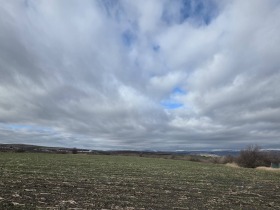 ���� ������������ ���� | Imot.bg � ����� ������ 20