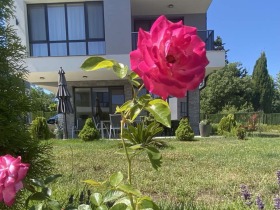 ���� ������������ ������� �������� | Imot.bg � ����� ������ 17