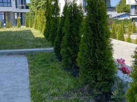 ���� ������������ ������� �������� | Imot.bg � ����� ������ 8