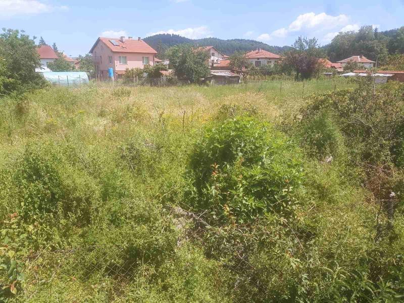 Продава  Парцел област София , с. Продановци , 735 кв.м | 11894010 - изображение [2]