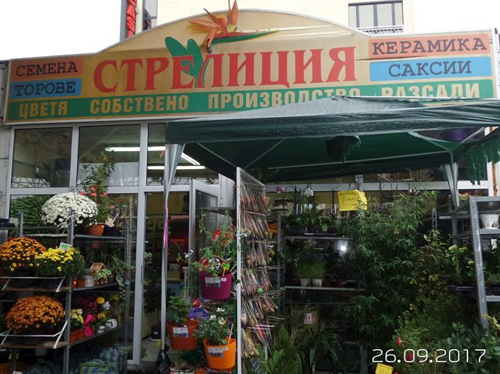 Стрелиция ООД