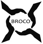 Finansial bureau BROCO LLC