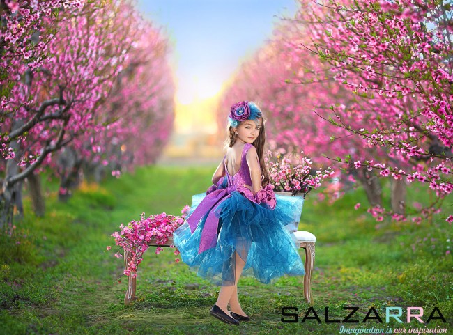 SALZARRA Ltd