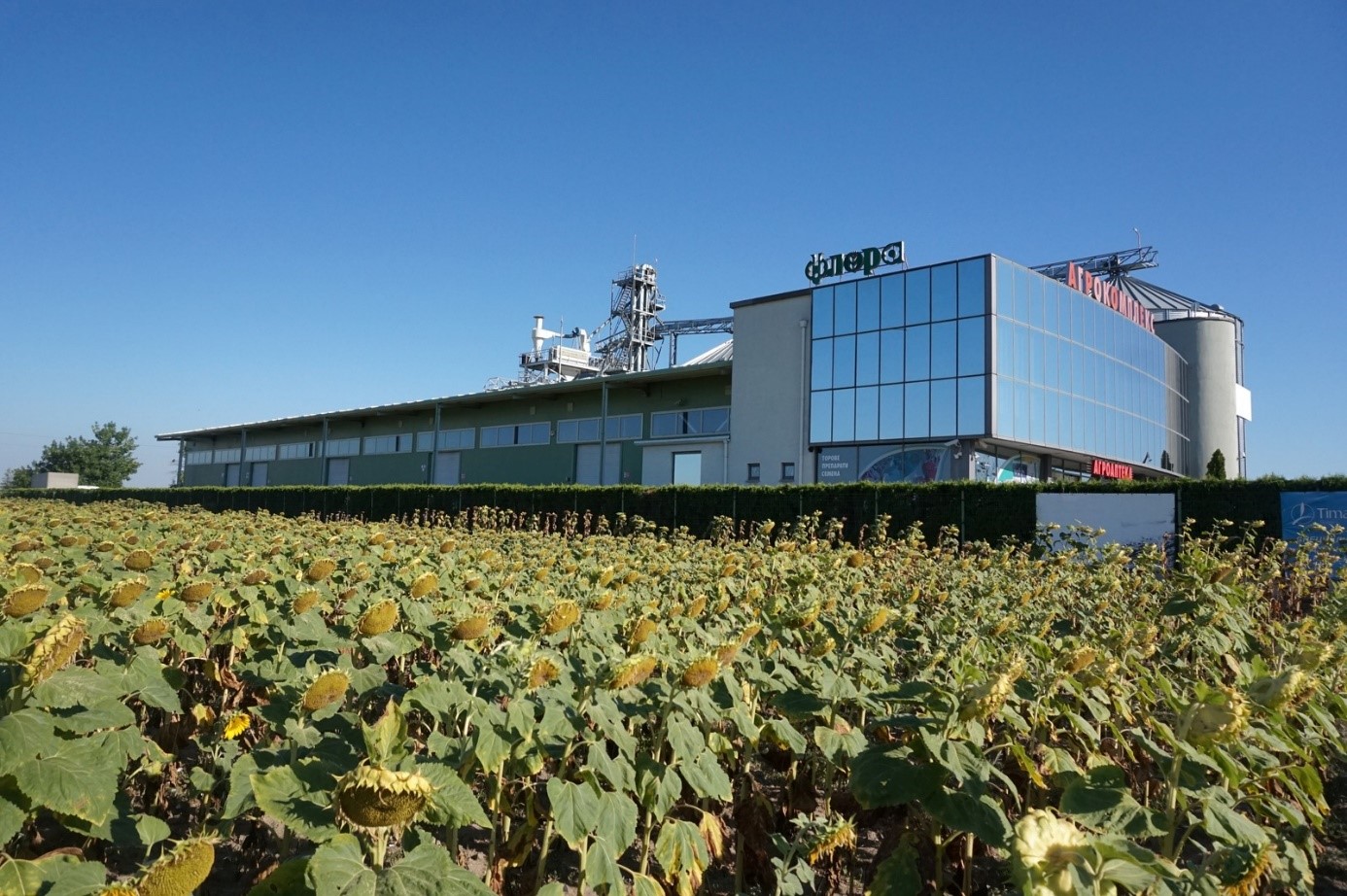 ФЛОРА - 62 ООД