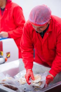 SHELLFISH DE LA MER LTD[4]— Zaplata.bg