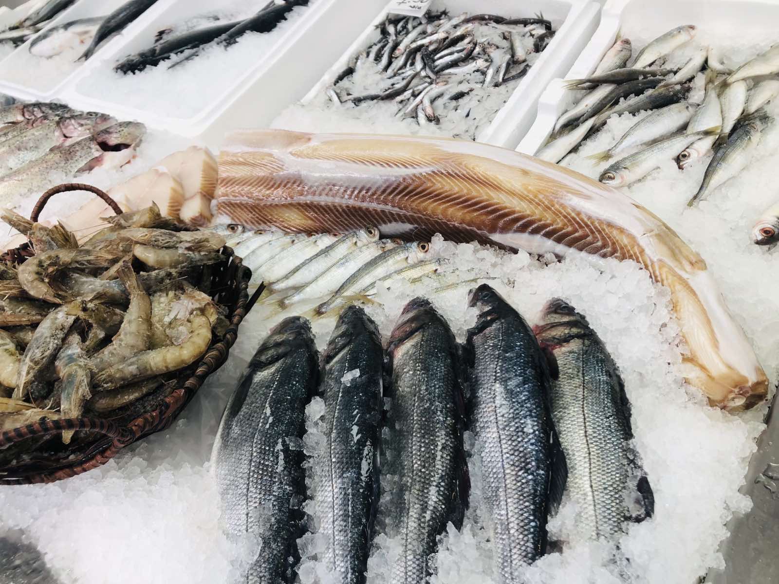 Теньо Денков ООД — Zaplata.bg Теньо Денков ООД