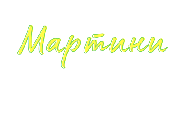 МАРТИНИ-60 ЕООД