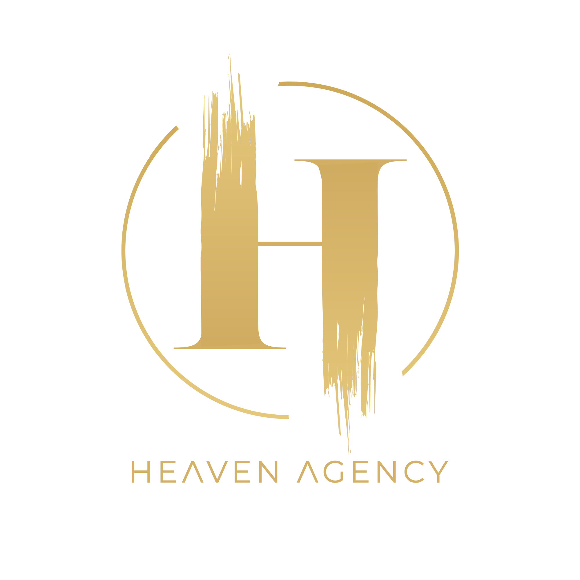 HVN DEVELOPMENT LIMITED