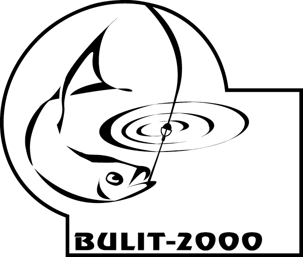 БУЛИТ 2000 ЕООД